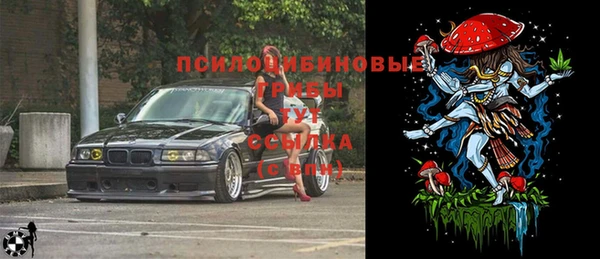 прущие крисы Инсар