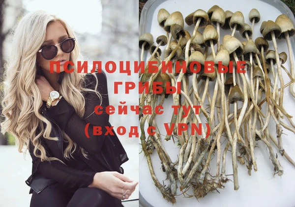 прущие крисы Инсар
