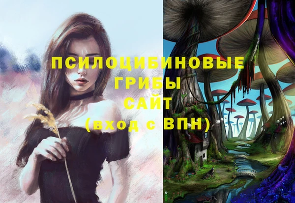 винт Каменногорск